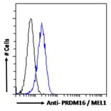 Flow Cytometry - Anti-PRDM16 Antibody (A285929) - Antibodies.com