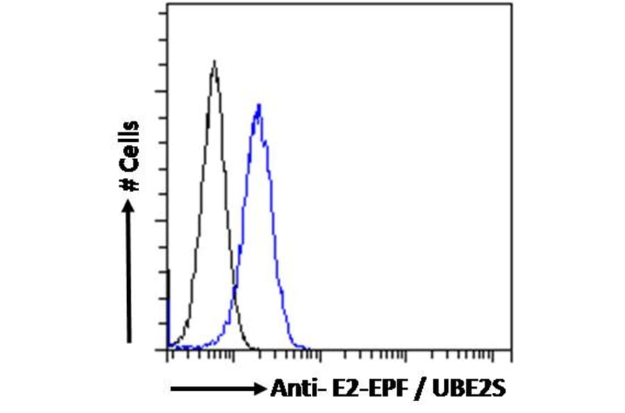 Flow Cytometry - Anti-UBE2S Antibody (A285932) - Antibodies.com