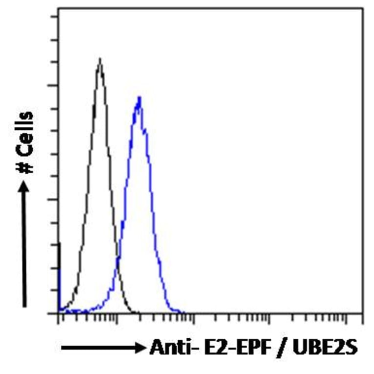 Flow Cytometry - Anti-UBE2S Antibody (A285932) - Antibodies.com