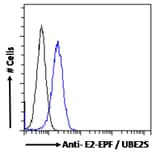 Flow Cytometry - Anti-UBE2S Antibody (A285932) - Antibodies.com