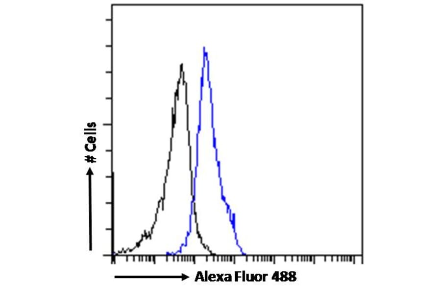 Flow Cytometry - Anti-CECR2 Antibody (A285933) - Antibodies.com