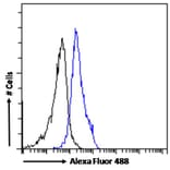 Flow Cytometry - Anti-CECR2 Antibody (A285933) - Antibodies.com