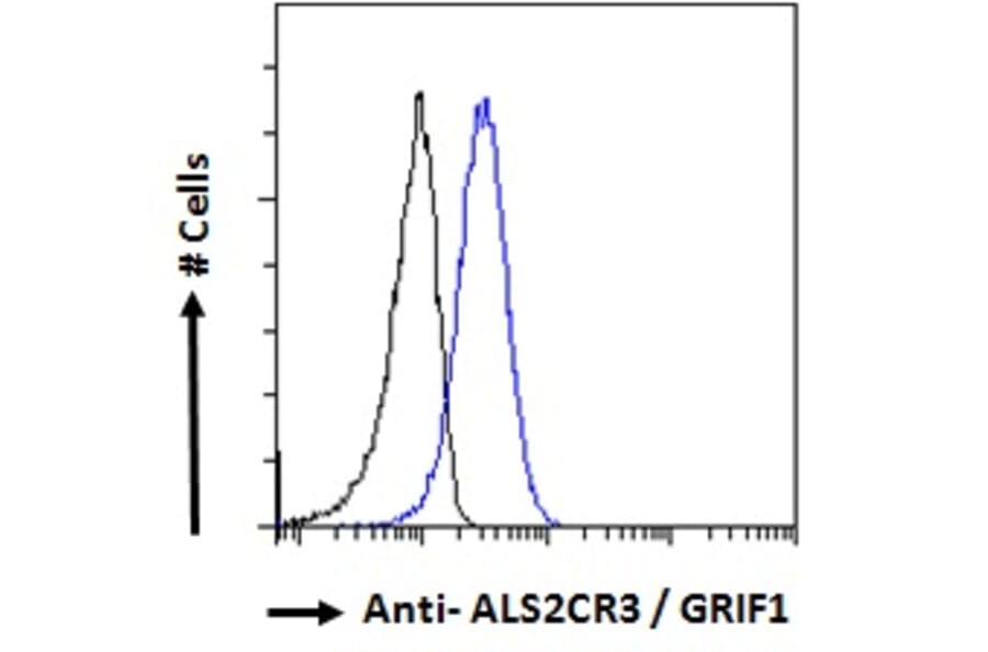 Flow Cytometry - Anti-TRAK2 Antibody (A285934) - Antibodies.com