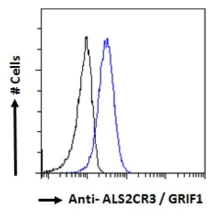 Flow Cytometry - Anti-TRAK2 Antibody (A285934) - Antibodies.com