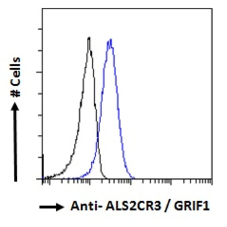 Flow Cytometry - Anti-TRAK2 Antibody (A285934) - Antibodies.com