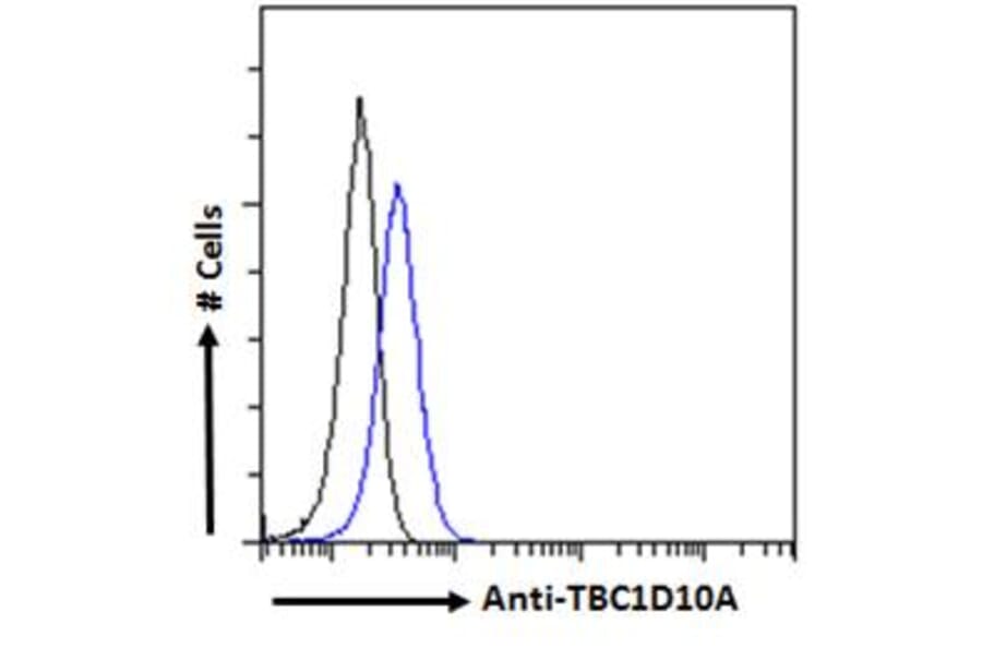 Flow Cytometry - Anti-EPI64/TBC1D10A Antibody (A285937) - Antibodies.com