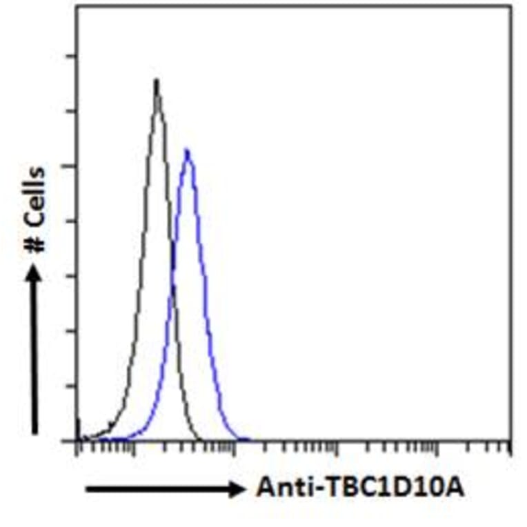 Flow Cytometry - Anti-EPI64/TBC1D10A Antibody (A285937) - Antibodies.com