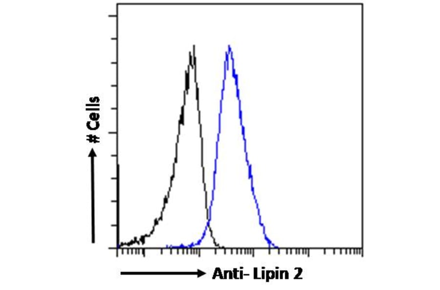 Flow Cytometry - Anti-Lipin 2/LPIN2 Antibody (A285946) - Antibodies.com