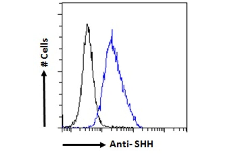 Flow Cytometry - Anti-Sonic Hedgehog Antibody (A285956) - Antibodies.com