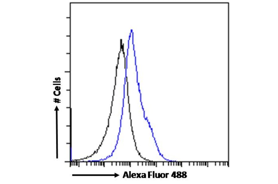 Flow Cytometry - Anti-OGFr Antibody (A285958) - Antibodies.com
