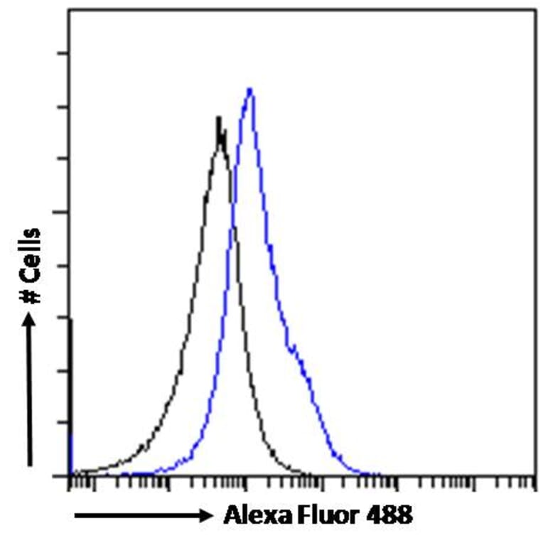 Flow Cytometry - Anti-OGFr Antibody (A285958) - Antibodies.com