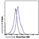 Flow Cytometry - Anti-OGFr Antibody (A285958) - Antibodies.com