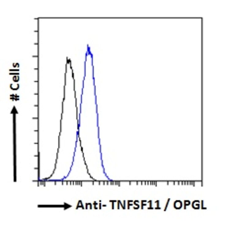 Flow Cytometry - Anti-RANKL Antibody (A285959) - Antibodies.com