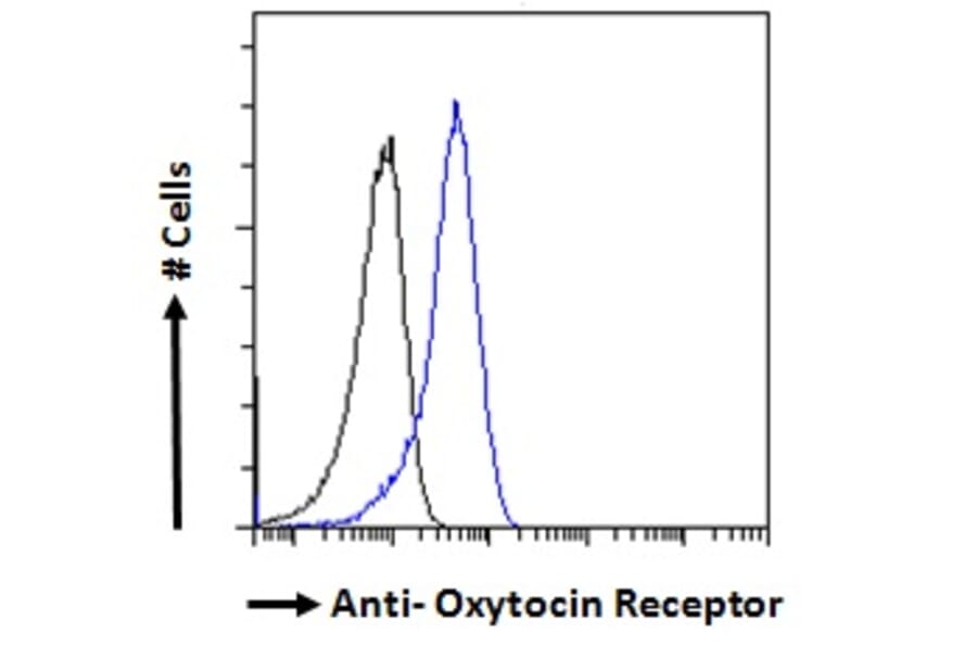 Flow Cytometry - Anti-Oxytocin Receptor Antibody (A285961) - Antibodies.com