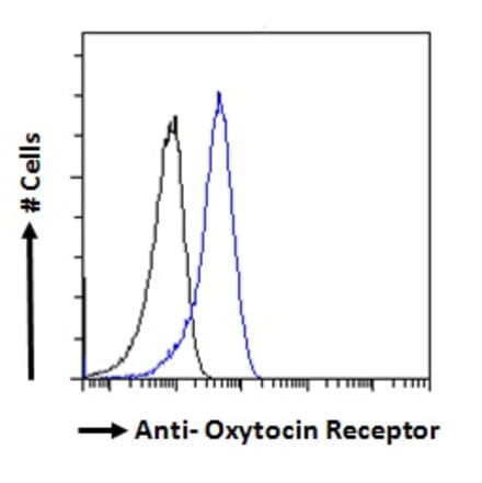 Flow Cytometry - Anti-Oxytocin Receptor Antibody (A285961) - Antibodies.com