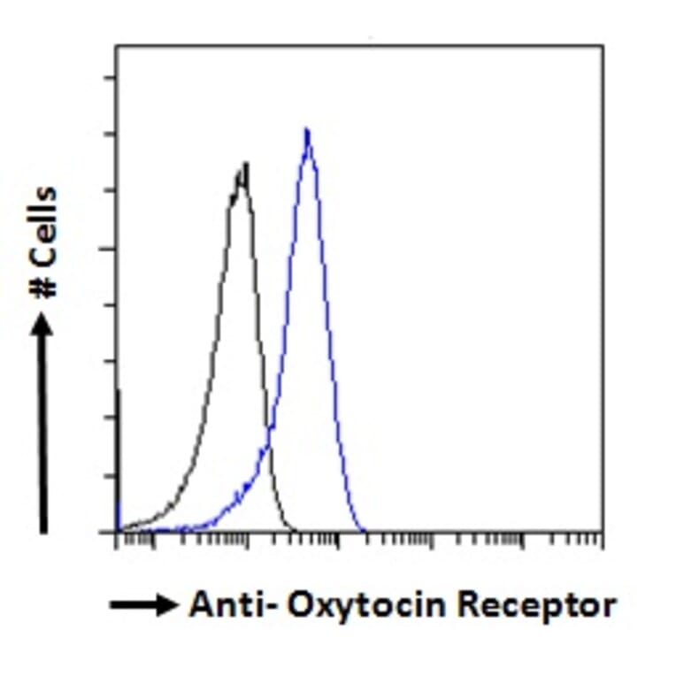 Flow Cytometry - Anti-Oxytocin Receptor Antibody (A285961) - Antibodies.com