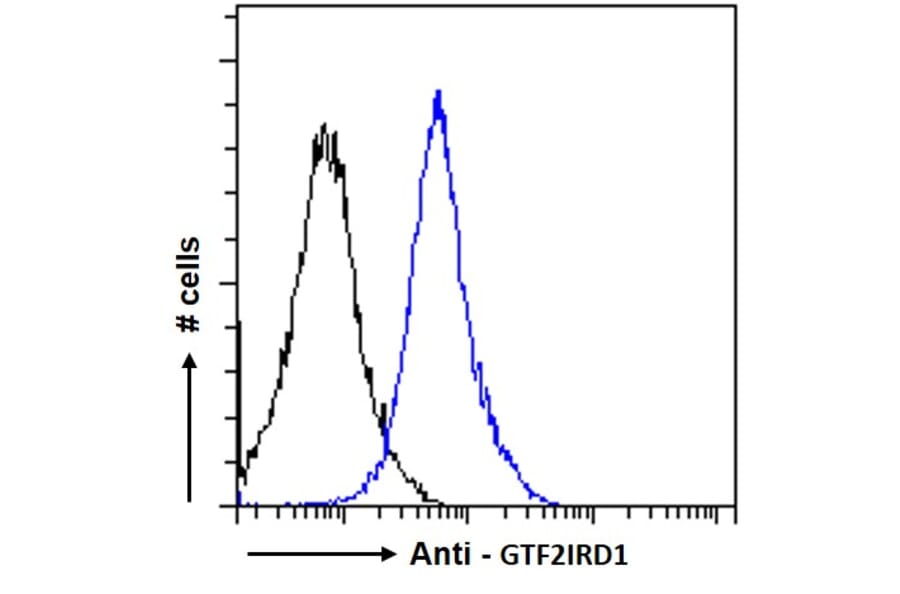 Flow Cytometry - Anti-GTF2IRD1 Antibody (A285963) - Antibodies.com