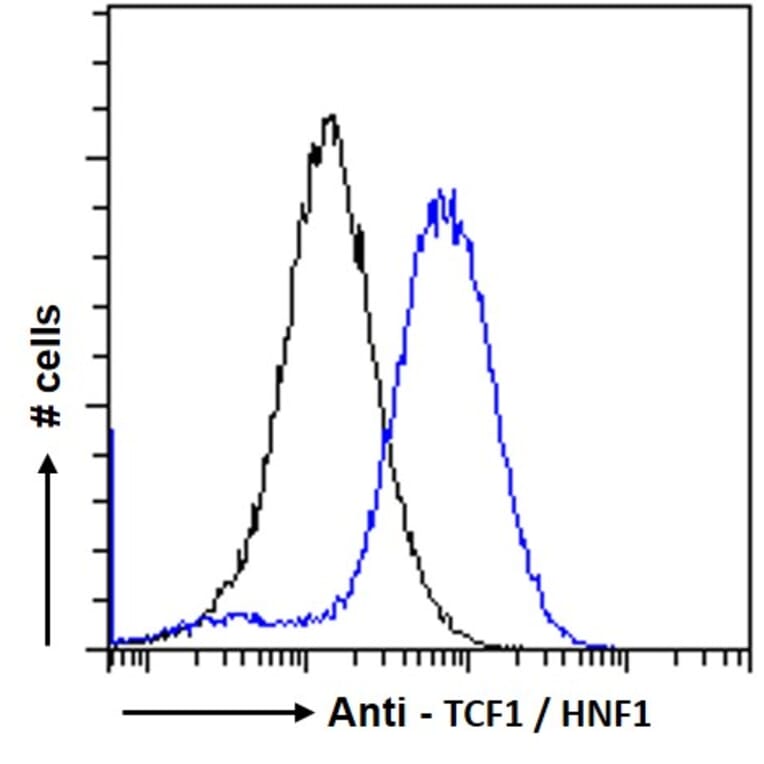 Flow Cytometry - Anti-HNF1 alpha Antibody (A285967) - Antibodies.com