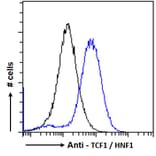 Flow Cytometry - Anti-HNF1 alpha Antibody (A285967) - Antibodies.com