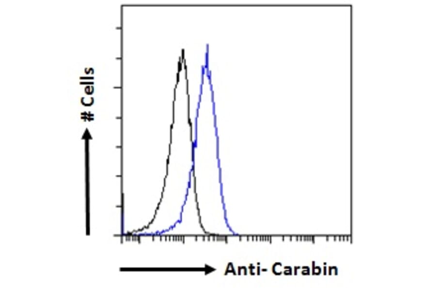 Flow Cytometry - Anti-Carabin Antibody (A285971) - Antibodies.com