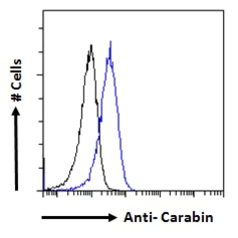 Flow Cytometry - Anti-Carabin Antibody (A285971) - Antibodies.com