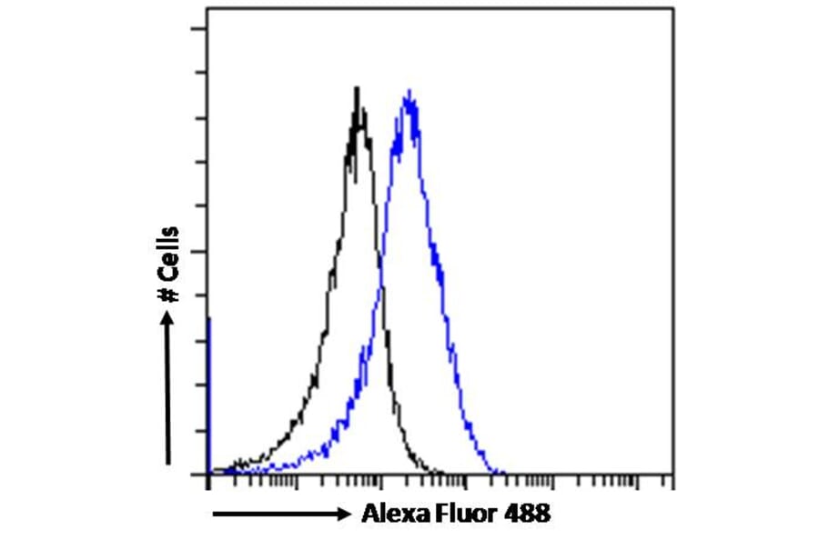 Flow Cytometry - Anti-CHD5 Antibody (A285975) - Antibodies.com
