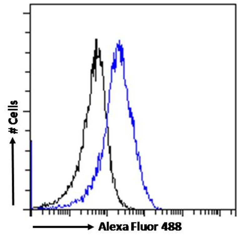 Flow Cytometry - Anti-CHD5 Antibody (A285975) - Antibodies.com