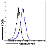 Flow Cytometry - Anti-CHD5 Antibody (A285975) - Antibodies.com