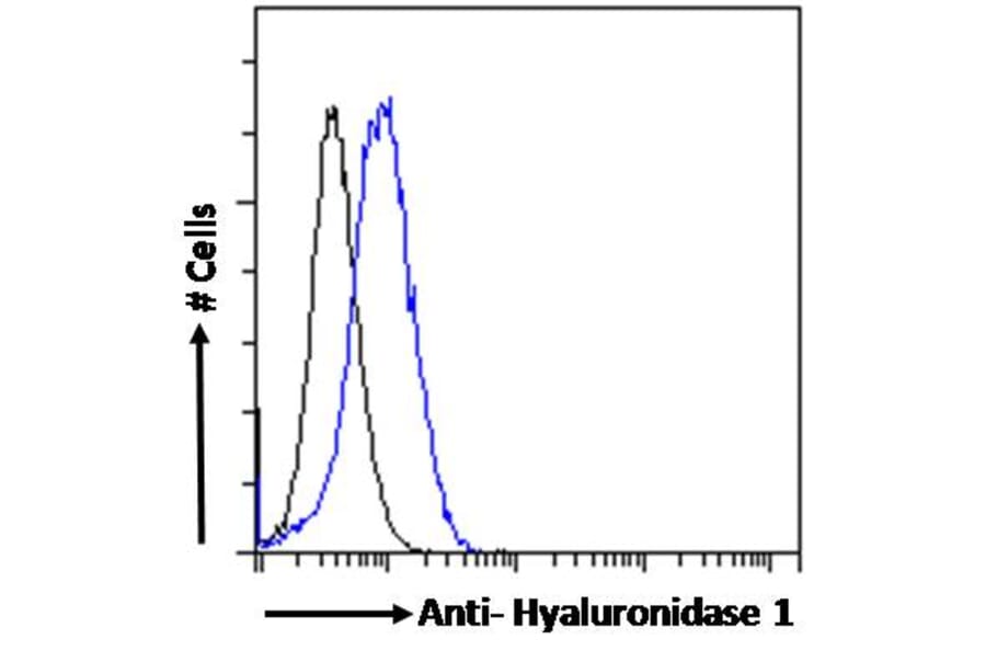 Flow Cytometry - Anti-HYAL1 Antibody (A285977) - Antibodies.com