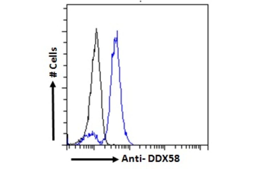 Flow Cytometry - Anti-RIG-I/DDX58 Antibody (A285978) - Antibodies.com