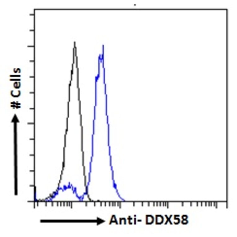 Flow Cytometry - Anti-RIG-I/DDX58 Antibody (A285978) - Antibodies.com