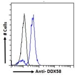 Flow Cytometry - Anti-RIG-I/DDX58 Antibody (A285978) - Antibodies.com