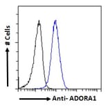 Flow Cytometry - Anti-Adenosine A1 Receptor Antibody (A285979) - Antibodies.com