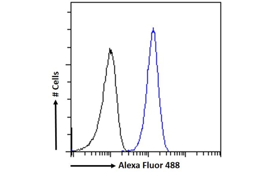 Flow Cytometry - Anti-Hornerin Antibody (A285984) - Antibodies.com