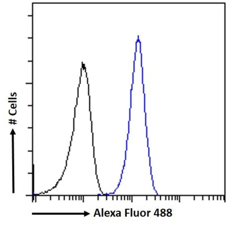 Flow Cytometry - Anti-Hornerin Antibody (A285984) - Antibodies.com