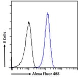 Flow Cytometry - Anti-Hornerin Antibody (A285984) - Antibodies.com