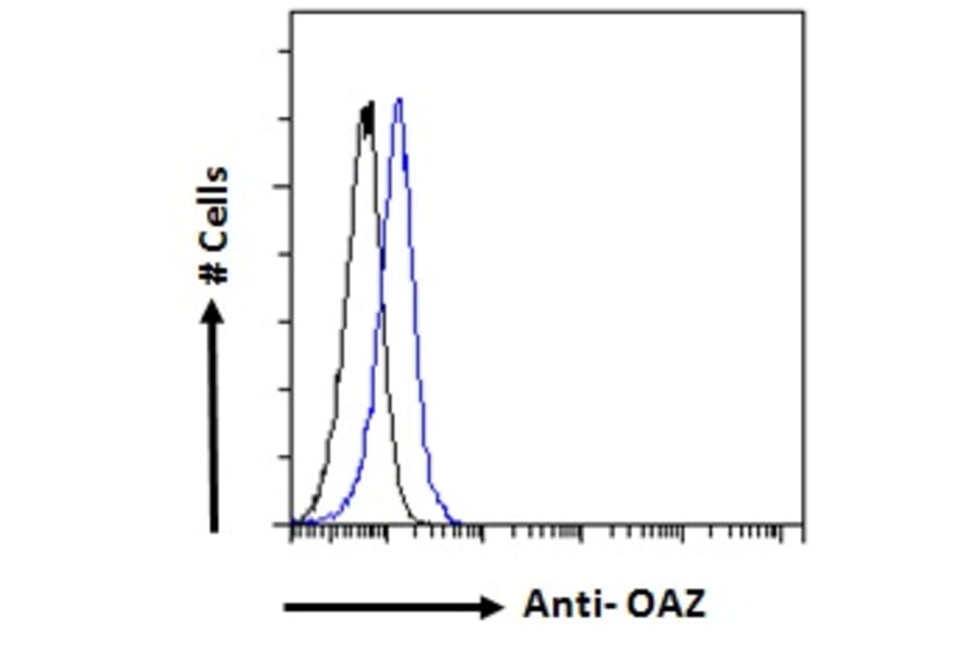 Flow Cytometry - Anti-ZNF423 Antibody (A285990) - Antibodies.com