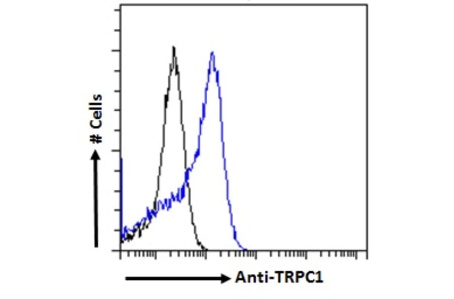 Flow Cytometry - Anti-TRPC1 Antibody (A285993) - Antibodies.com