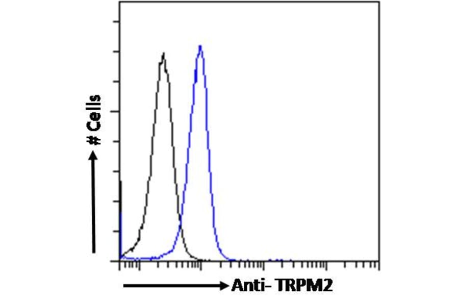 Flow Cytometry - Anti-TRPM2 Antibody (A285994) - Antibodies.com