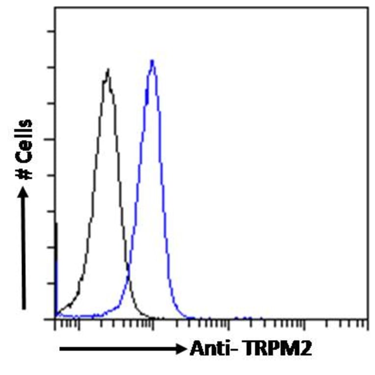 Flow Cytometry - Anti-TRPM2 Antibody (A285994) - Antibodies.com
