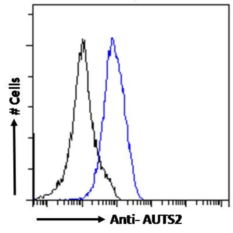 Flow Cytometry - Anti-AUTS2 Antibody (A286001) - Antibodies.com