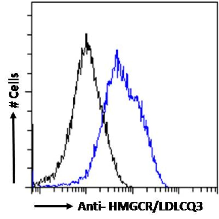 Flow Cytometry - Anti-HMGCR Antibody (A286002) - Antibodies.com