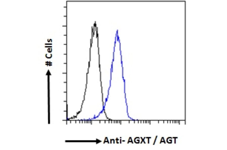 Flow Cytometry - Anti-AGXT Antibody (A286004) - Antibodies.com