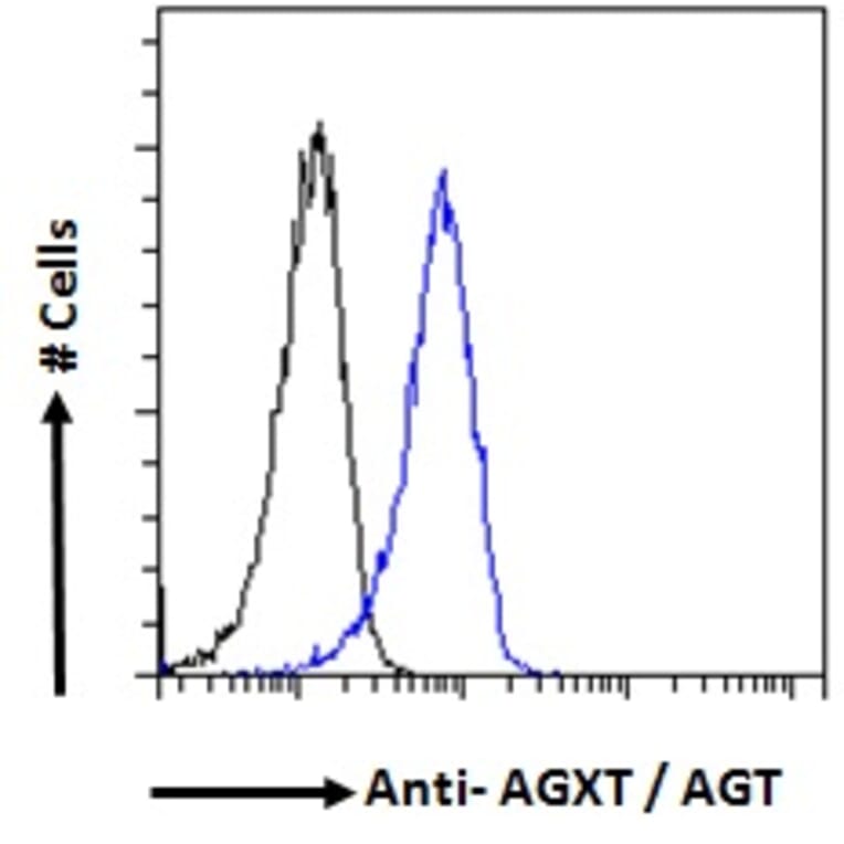 Flow Cytometry - Anti-AGXT Antibody (A286004) - Antibodies.com