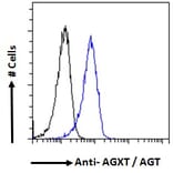 Flow Cytometry - Anti-AGXT Antibody (A286004) - Antibodies.com