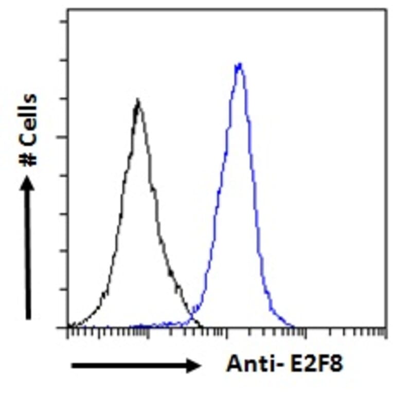 Flow Cytometry - Anti-E2F8 Antibody (A286007) - Antibodies.com