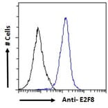 Flow Cytometry - Anti-E2F8 Antibody (A286007) - Antibodies.com
