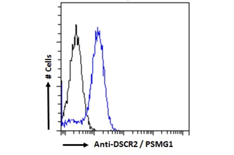 Flow Cytometry - Anti-PSMG1 Antibody (A286009) - Antibodies.com