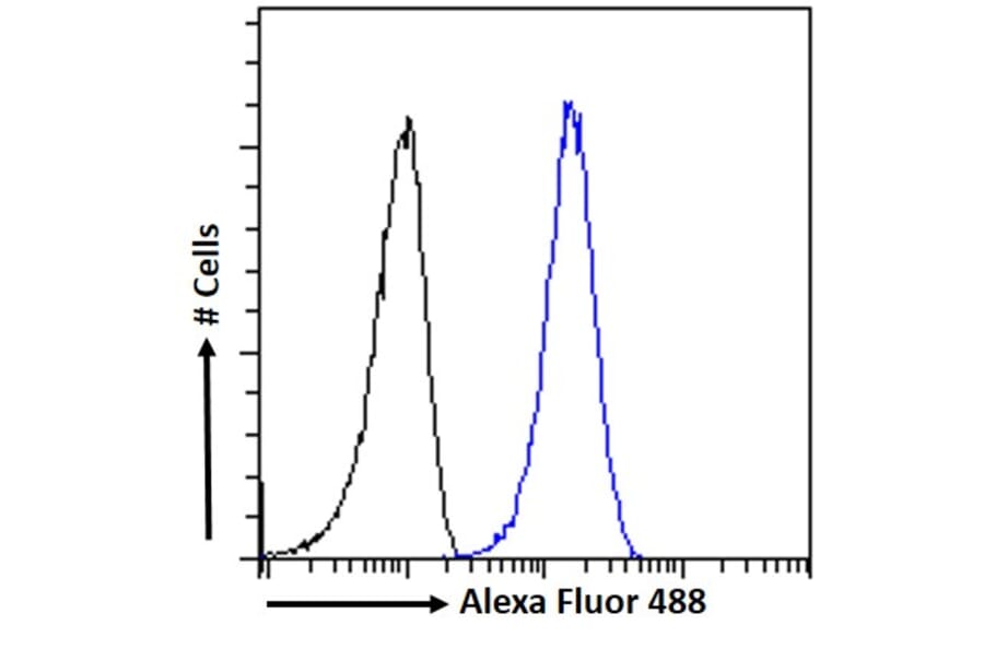 Flow Cytometry - Anti-ATG4D Antibody (A286011) - Antibodies.com