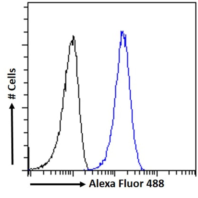 Flow Cytometry - Anti-ATG4D Antibody (A286011) - Antibodies.com